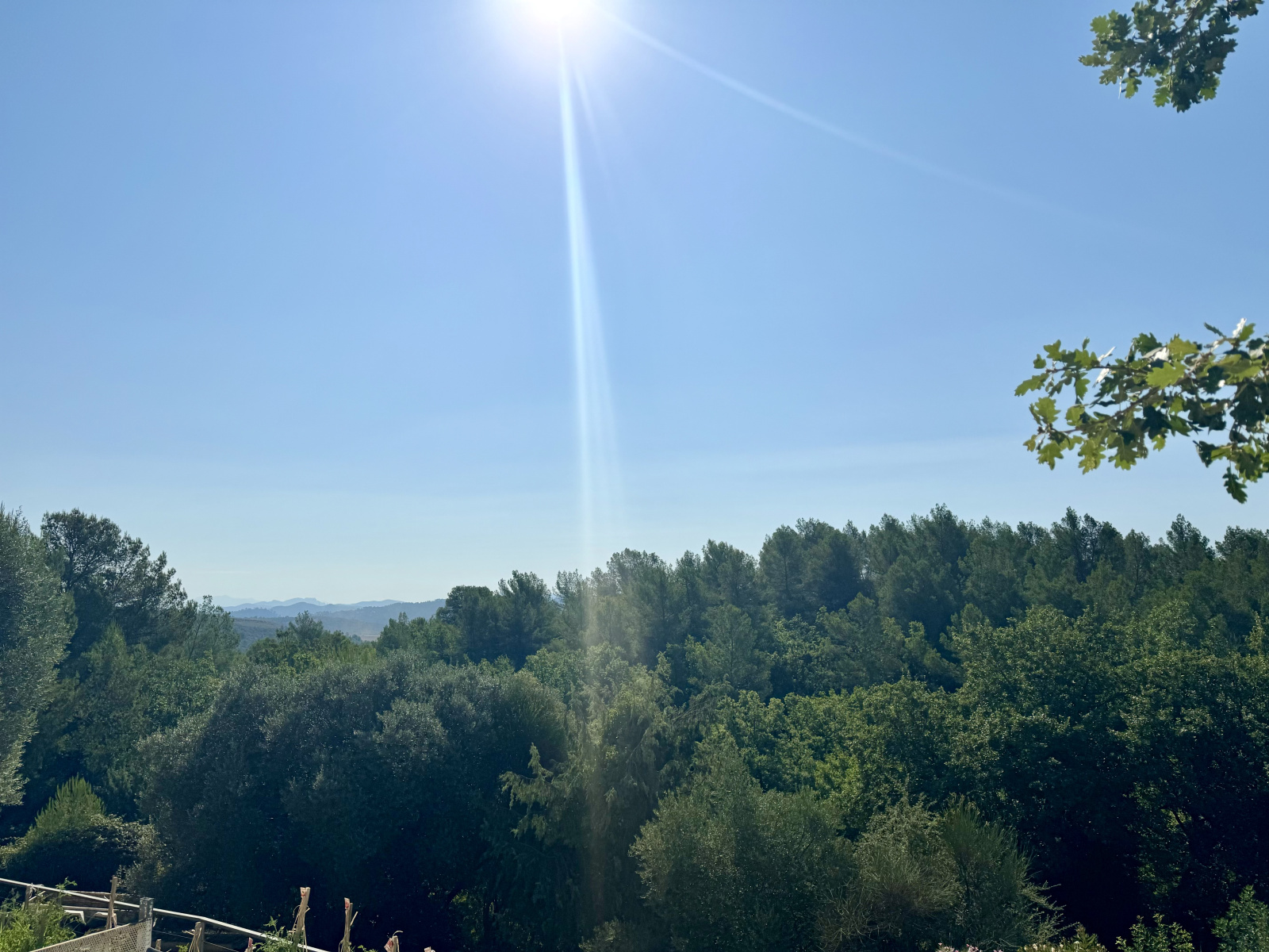 Image_32, Villa, Le Cannet-des-Maures, ref :V1854