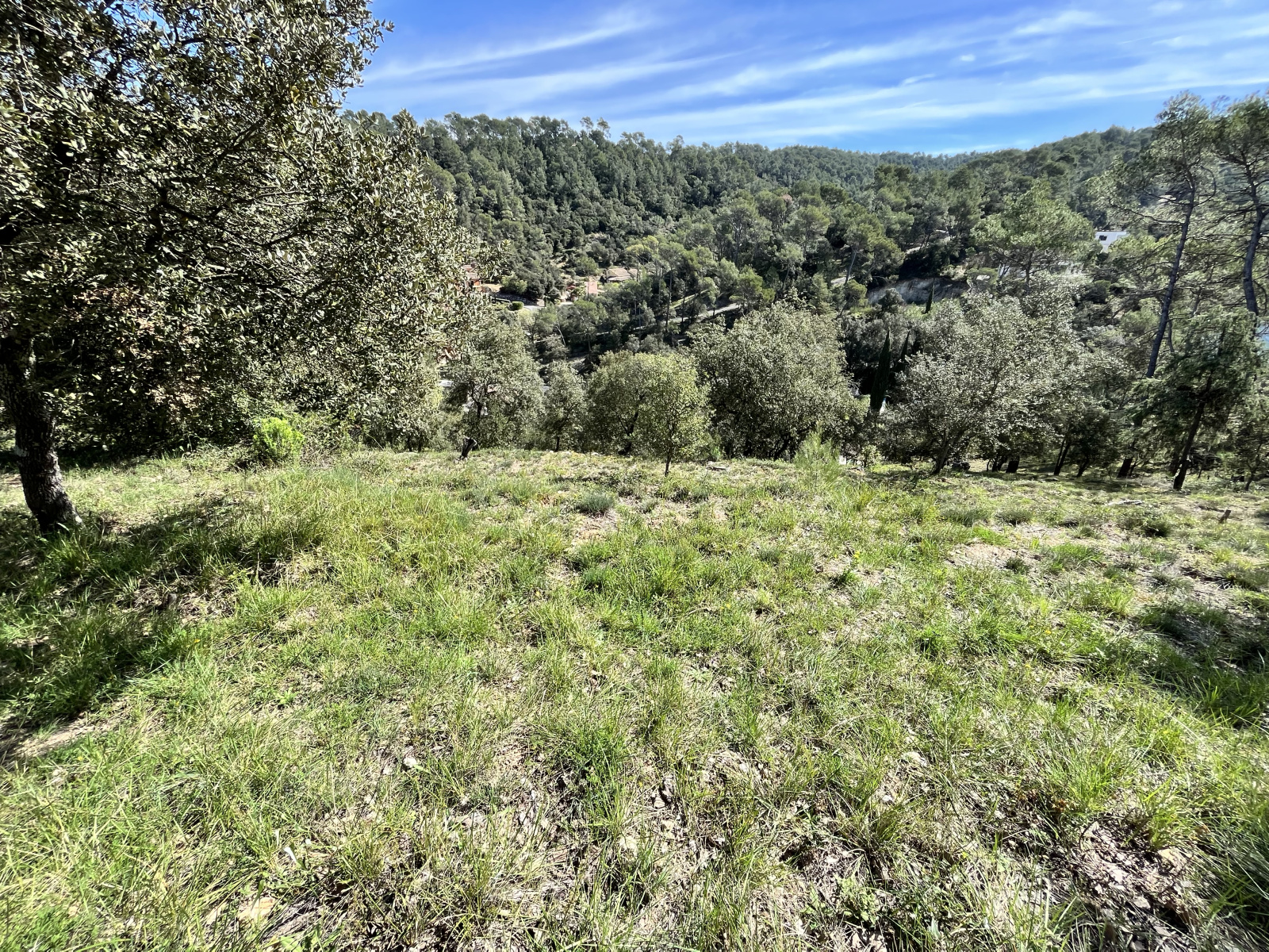 Image_2, Terrain, Vidauban, ref :V1783
