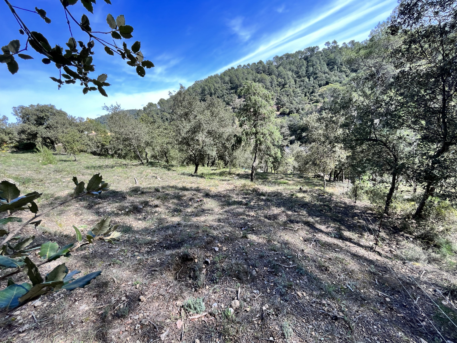 Image_4, Terrain, Vidauban, ref :V1783