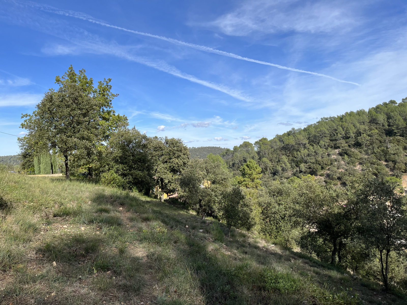 Image_3, Terrain, Vidauban, ref :V1783