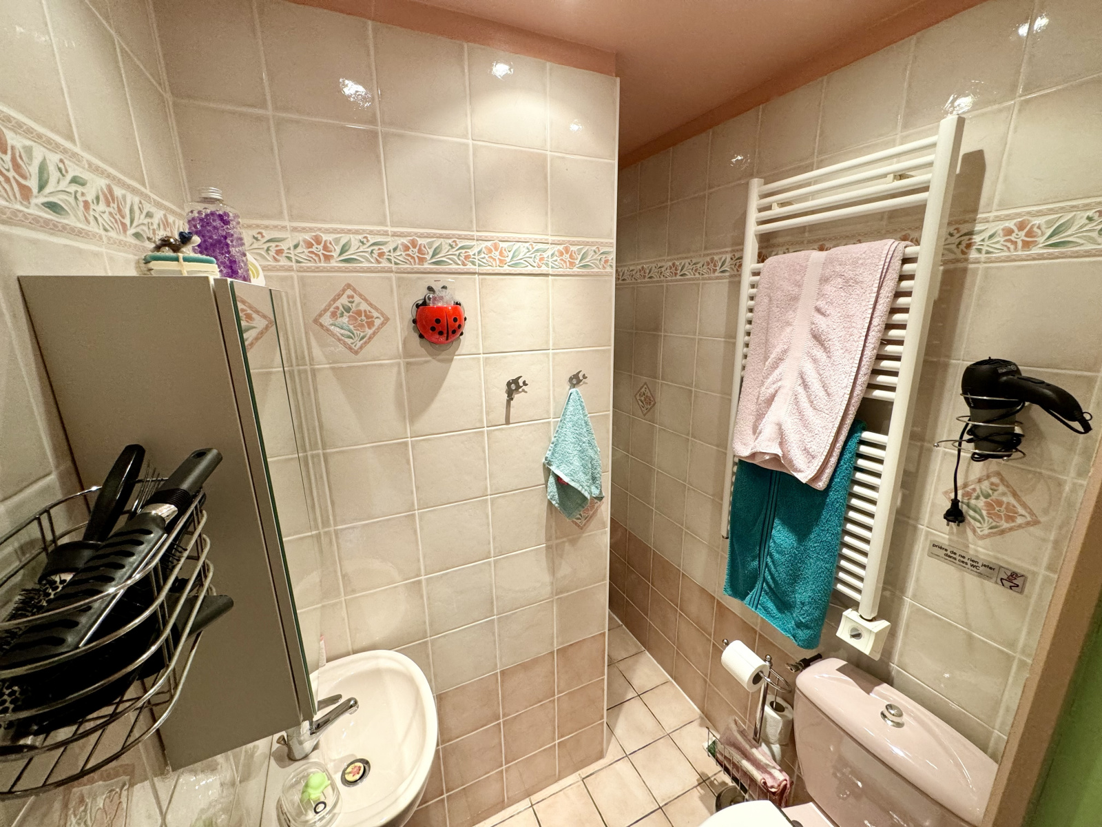 Image_11, Villa, Forcalqueiret, ref :V1853